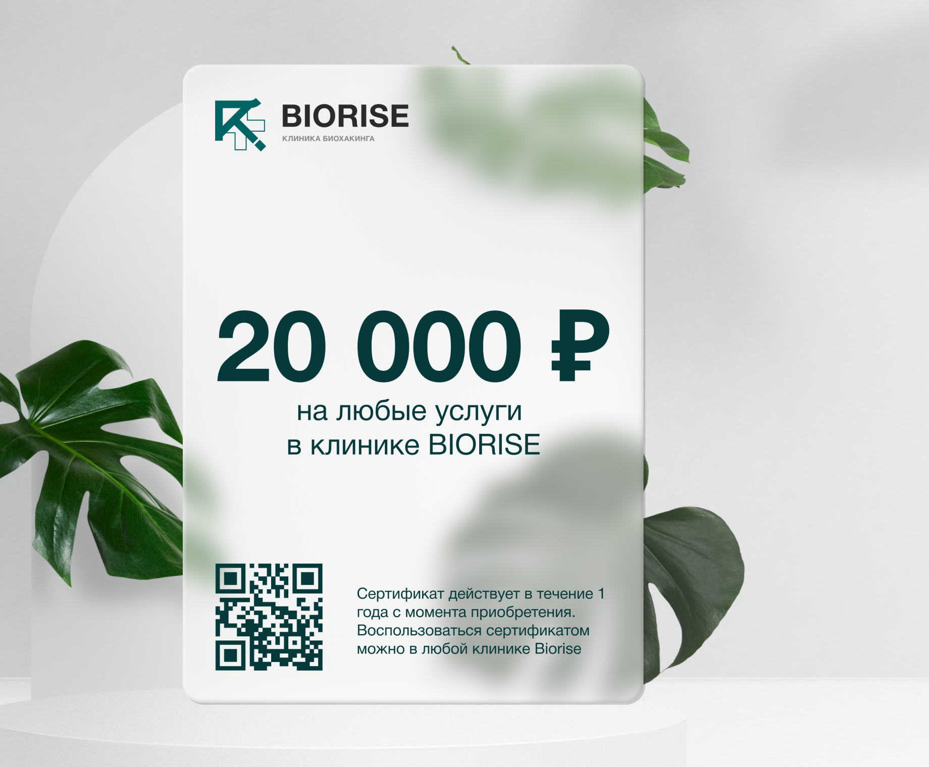 Biorise - 3677